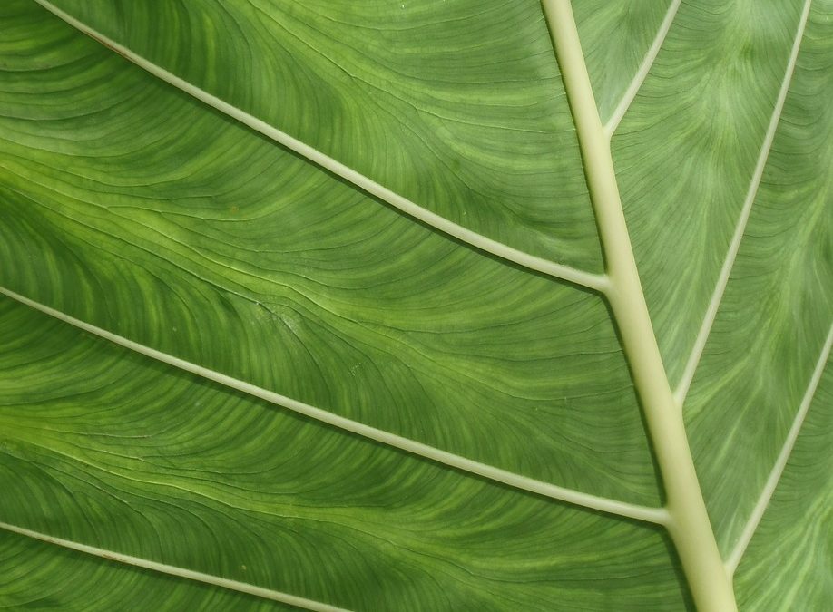 Dinas Damkar Majalengka Bantu Tabrakan Kendaraan di SPBU